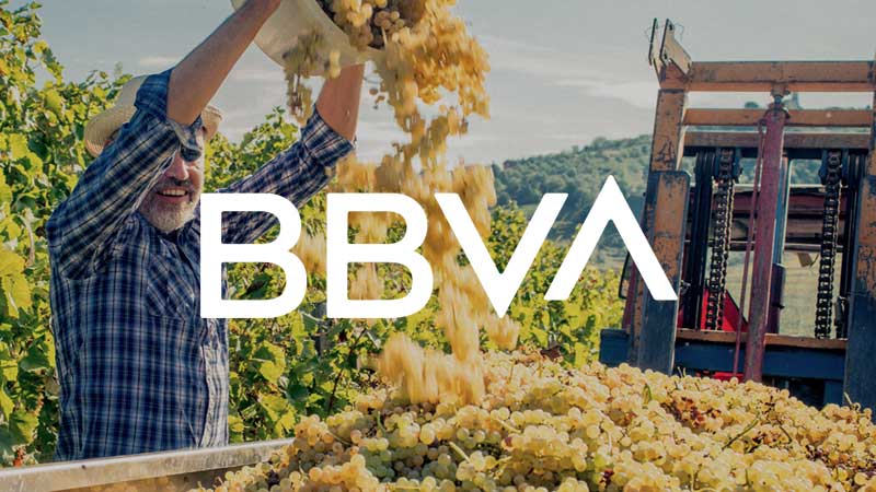 BBVA superimposed on image of farmer picking grapes.